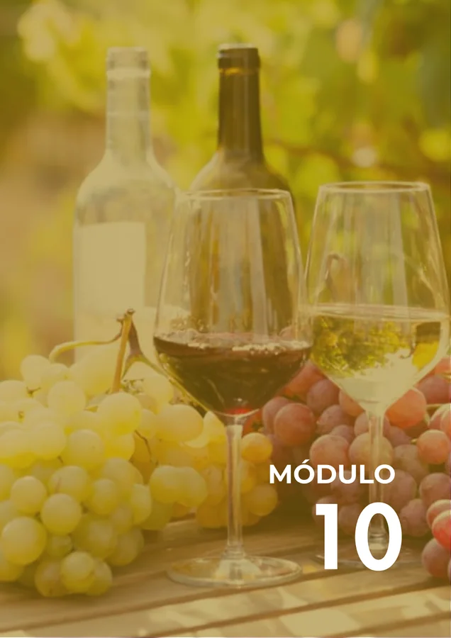 Módulo 10