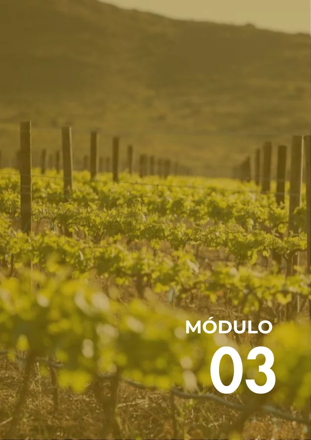 Módulo 03