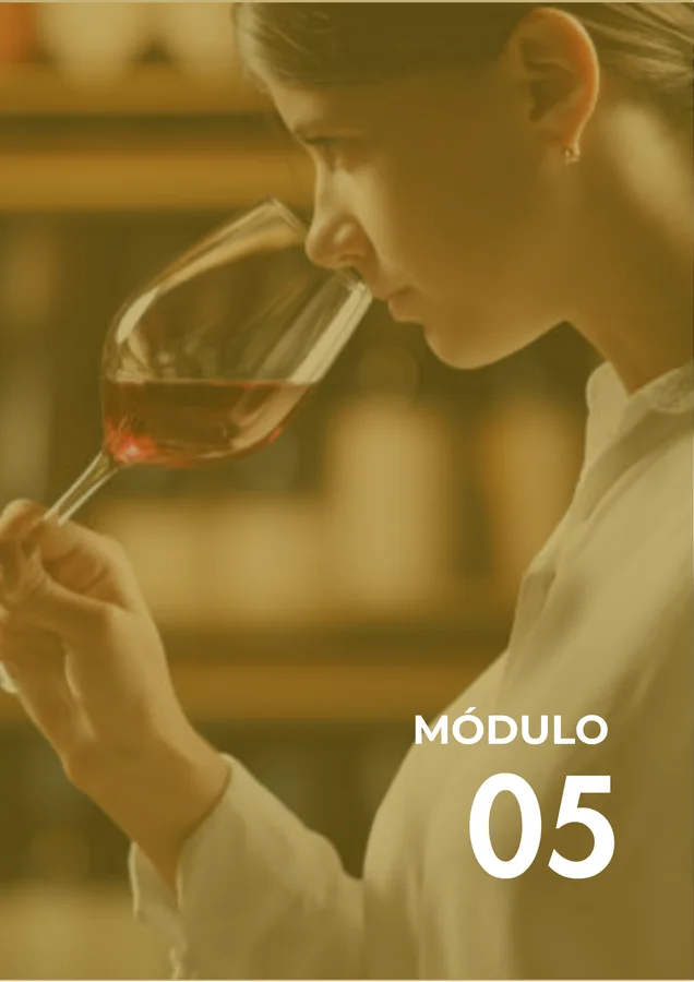 Módulo 05