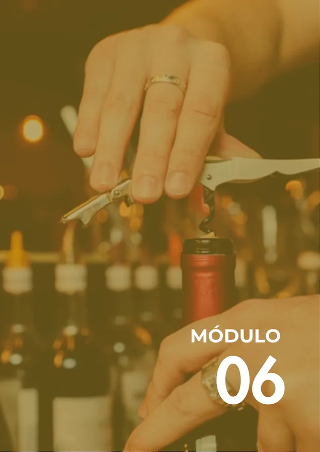 Módulo 06