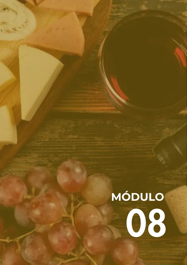Módulo 08