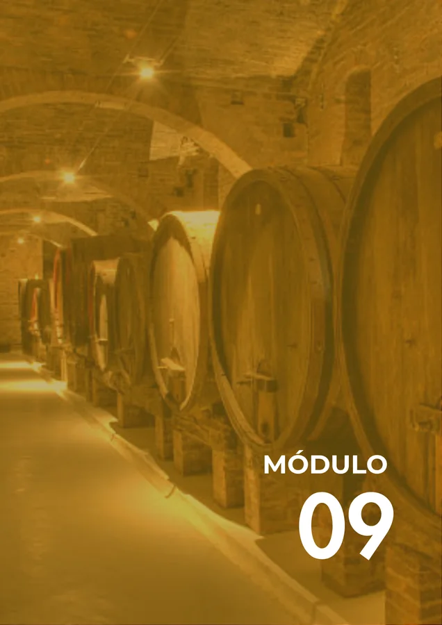Módulo 09