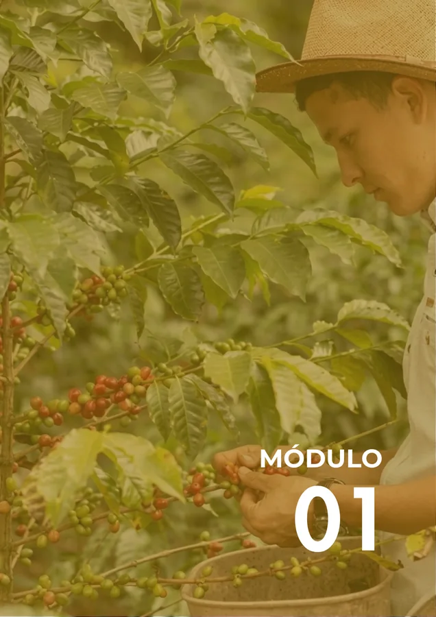 Módulo 01