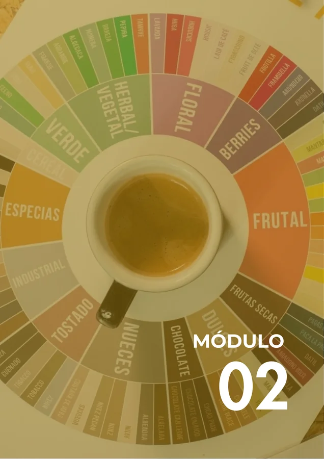 Módulo 02