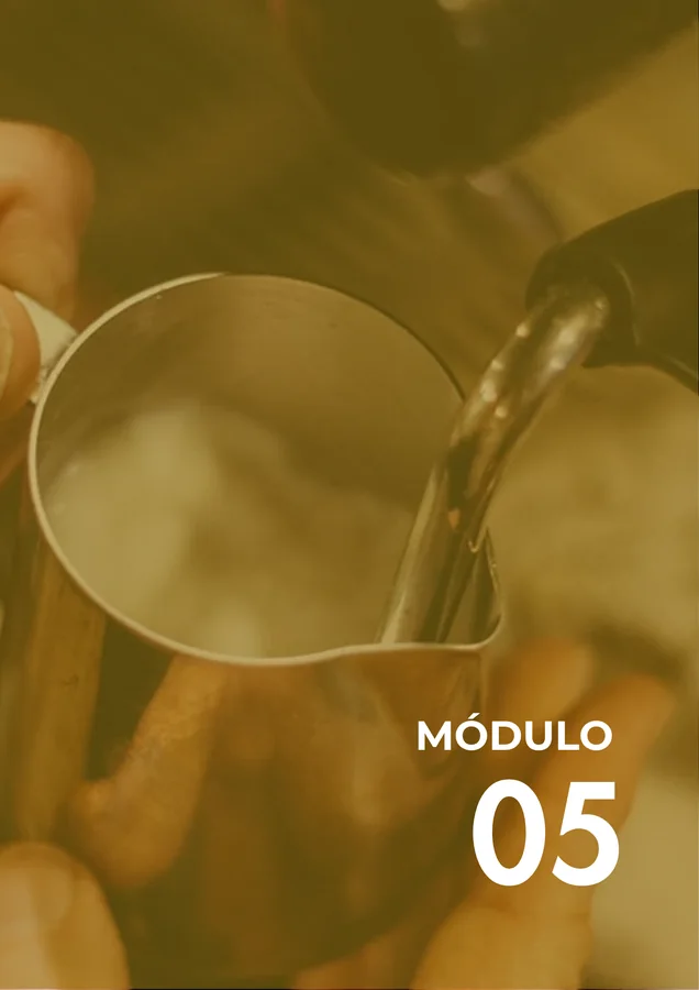 Módulo 05
