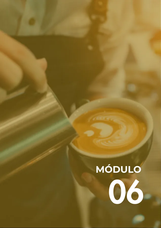 Módulo 06
