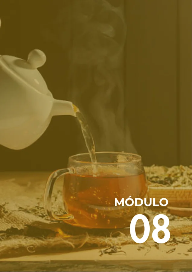 Módulo 08
