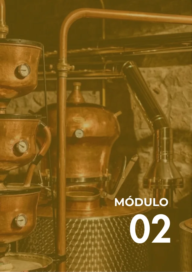Módulo 02