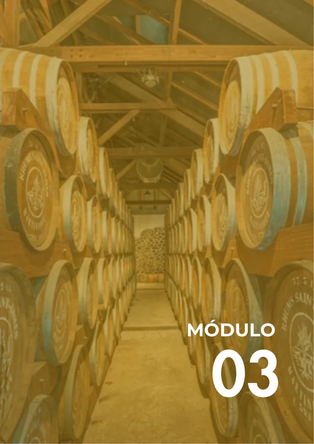 Módulo 03