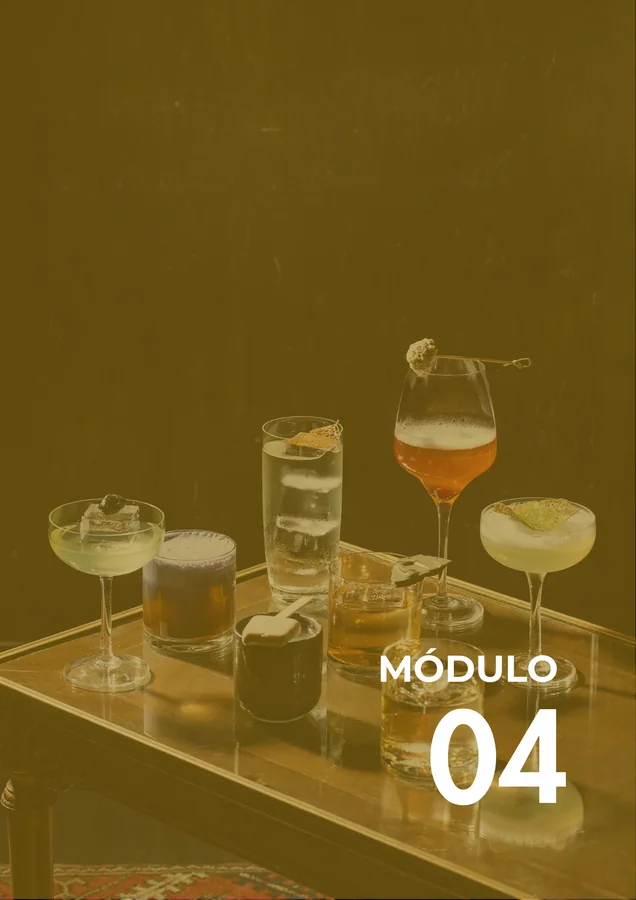 Módulo 04