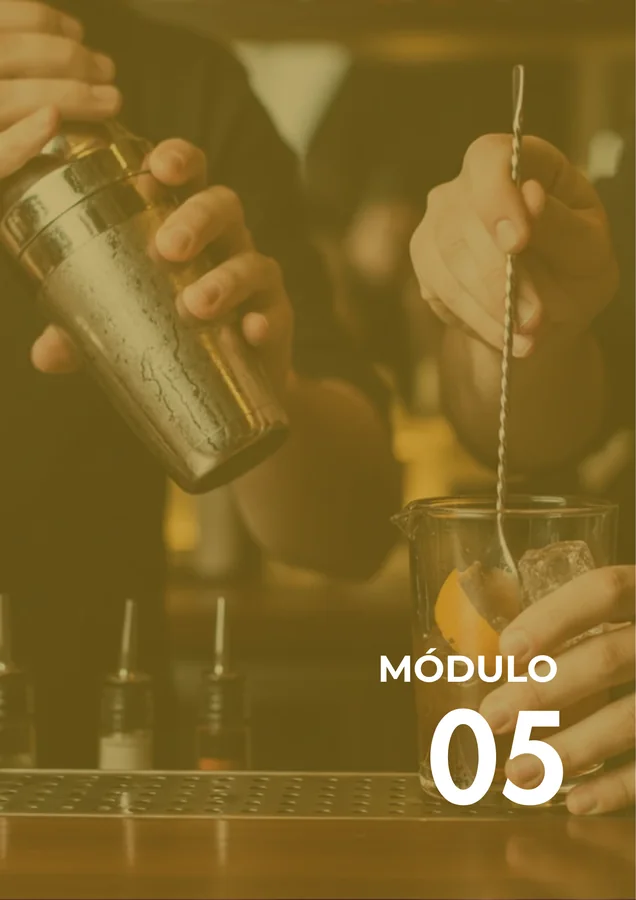 Módulo 05