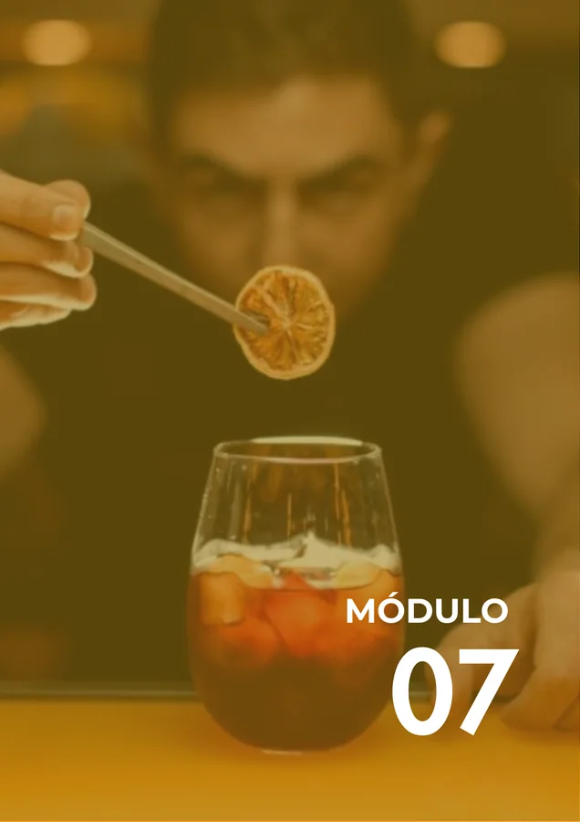 Módulo 07