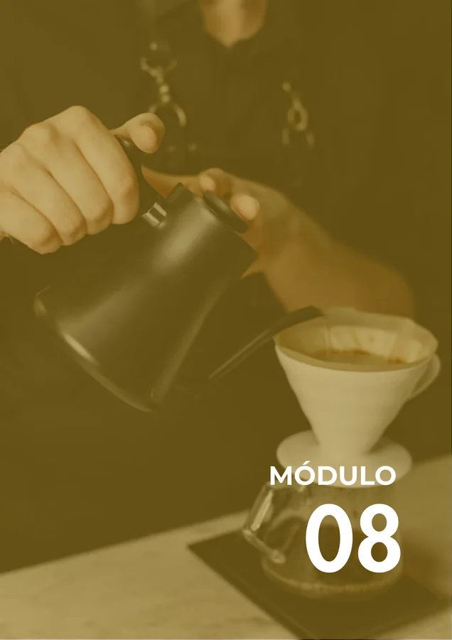 Módulo 08
