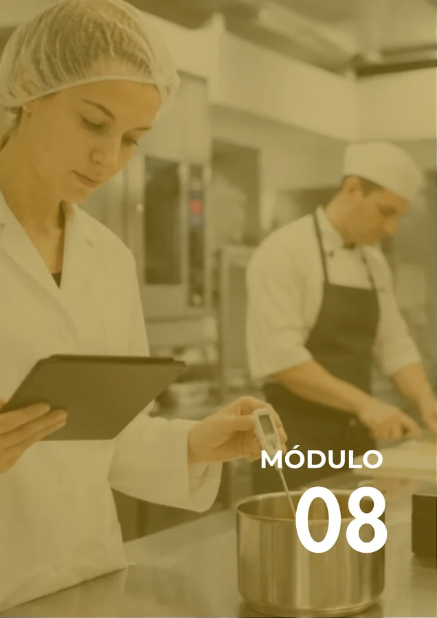 Módulo 08