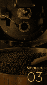 Roasting Lab: Profiling & Coffee Physics
