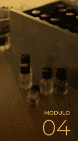 Coffee Sommelier: Terroir & Sensory Masterclass