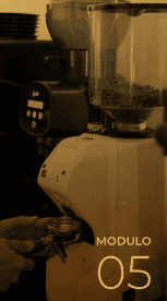Coffee Business: Costing, Operations & Menu Engineering