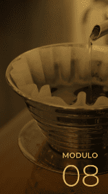 Brewing Science: Extraction & Water Chemistry