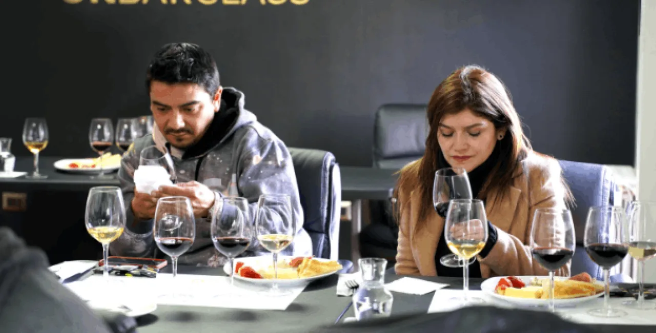 Diplomado Sommelier de Vinos